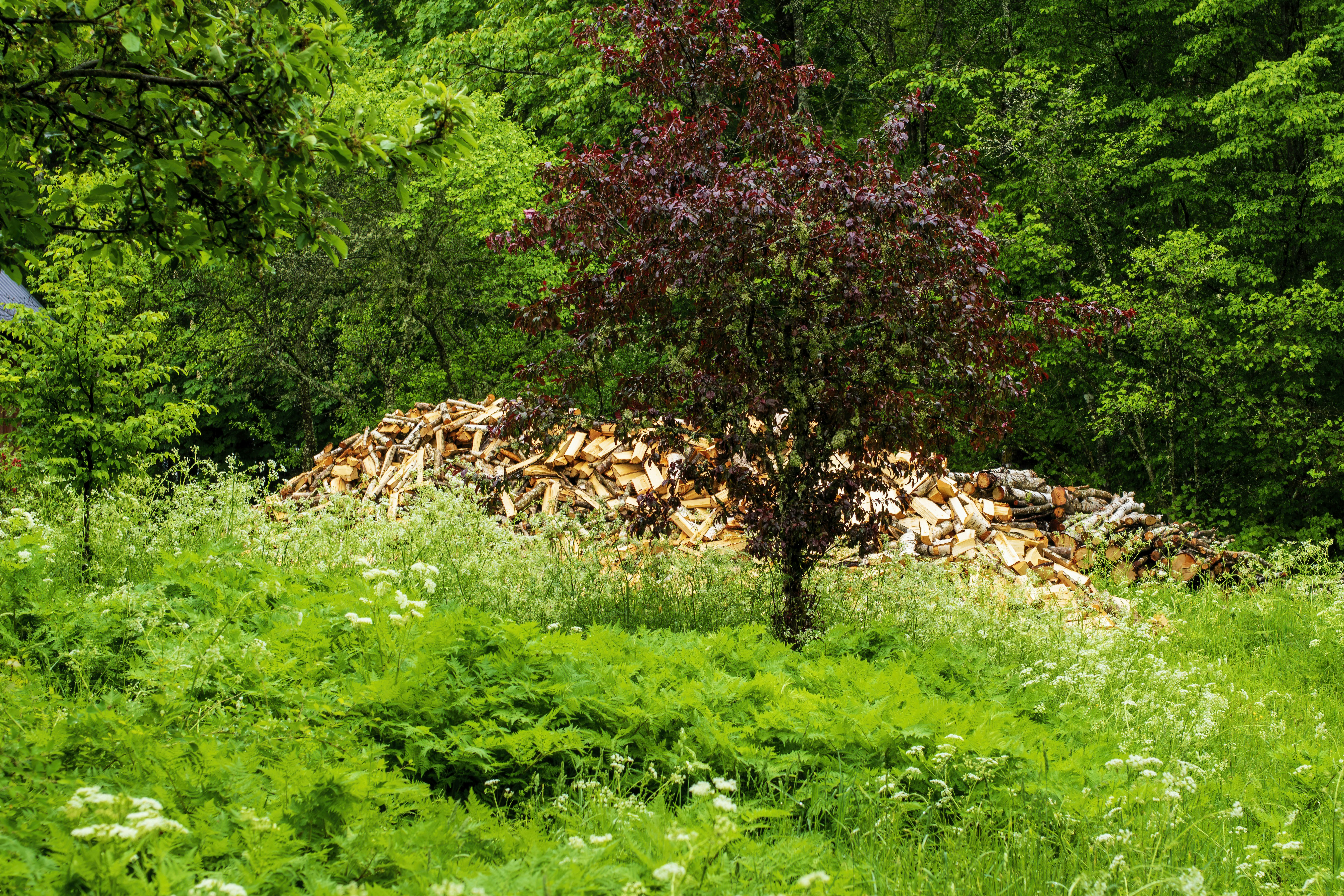 Premium Landscape Materials & Firewood
