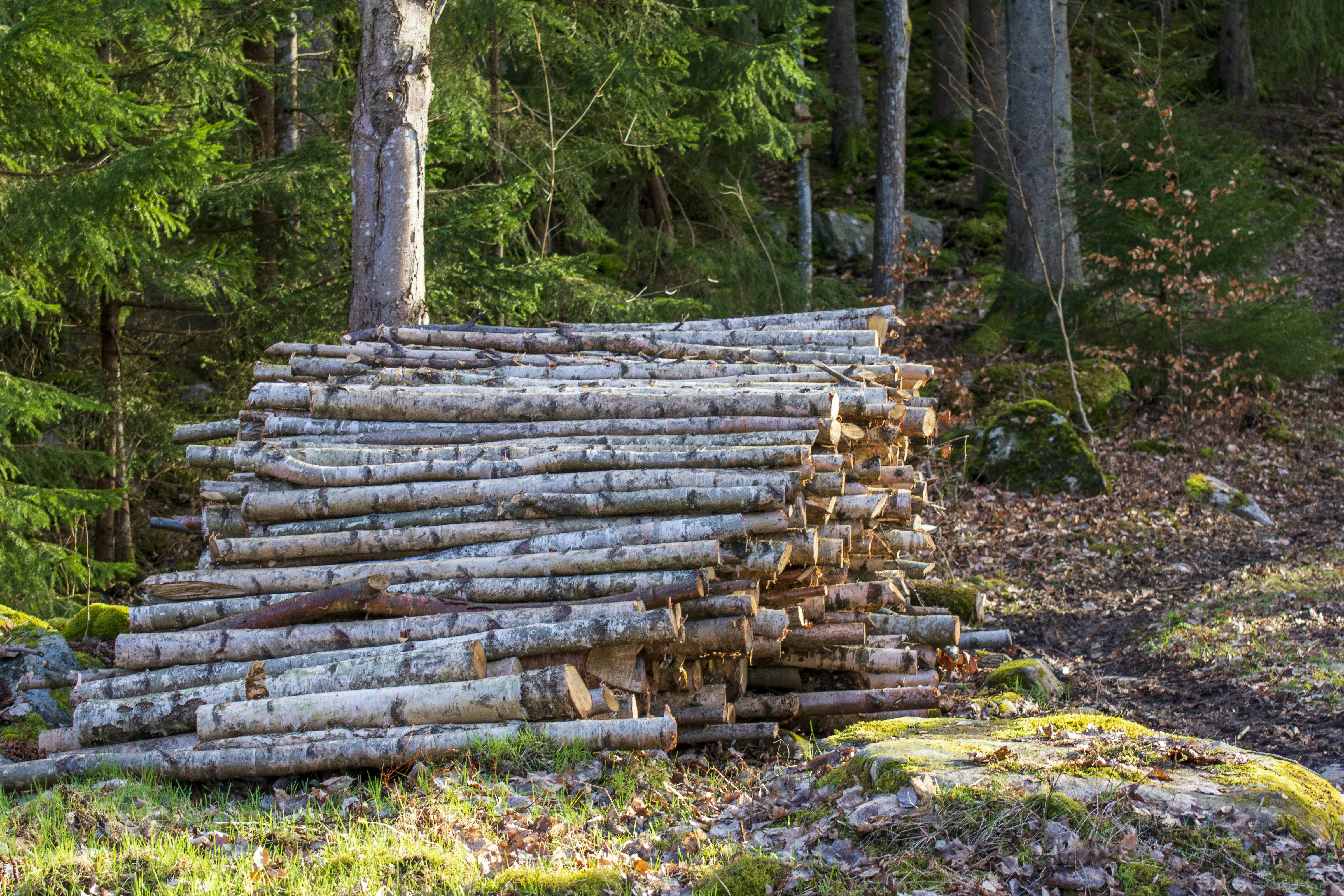 5 Best Practices for Long-Term Wood Fence Care Maintenance