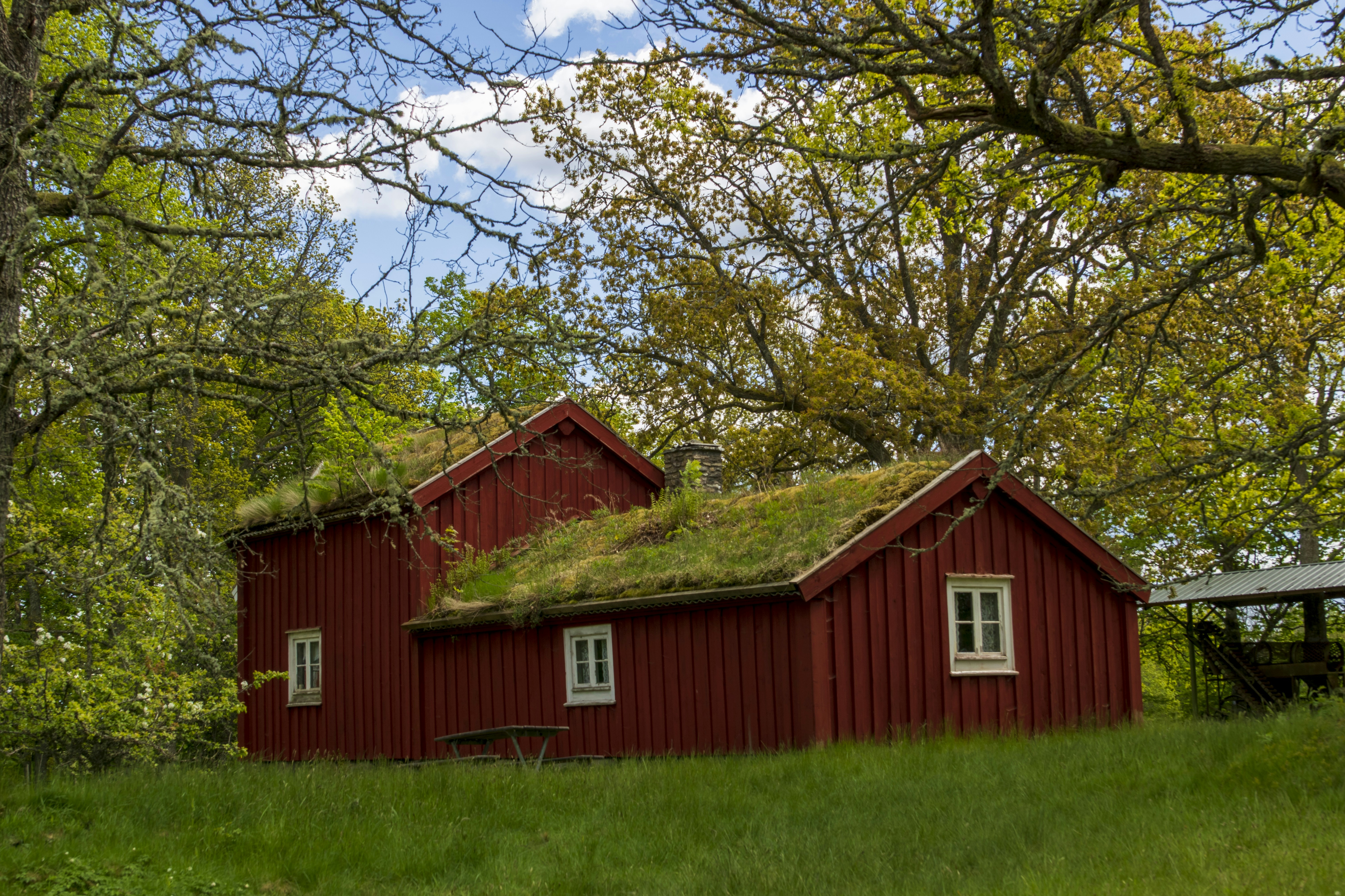 An eco-friendly lodge in the Gothenburg Archipelago surrounded by natural greenery
