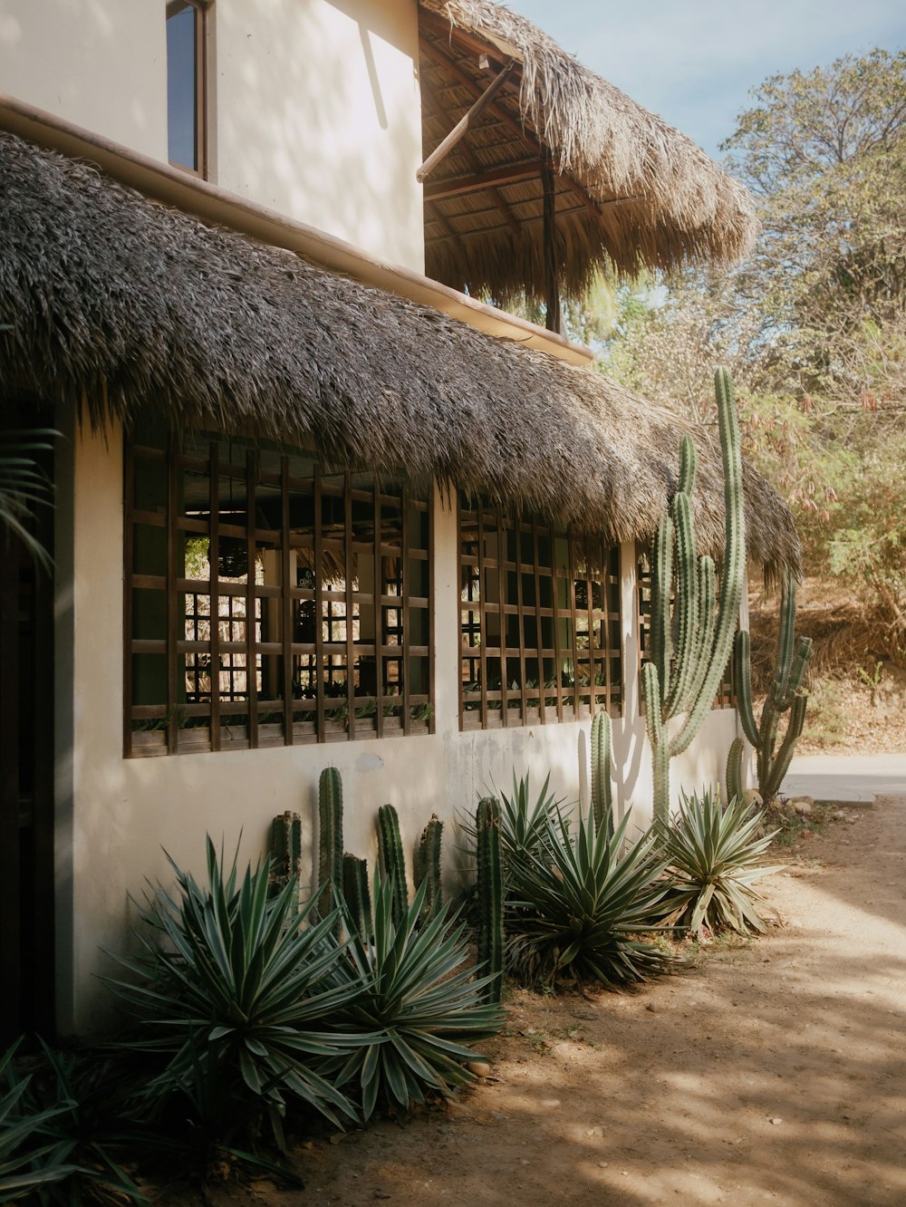 a house with a thatched roof and a cactus next to it