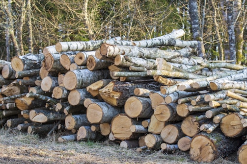 A stack of freshly cut logs piled neatly in a forest setting, with trees in the background, featuring a mix of light and dark bark tones on the wood.
