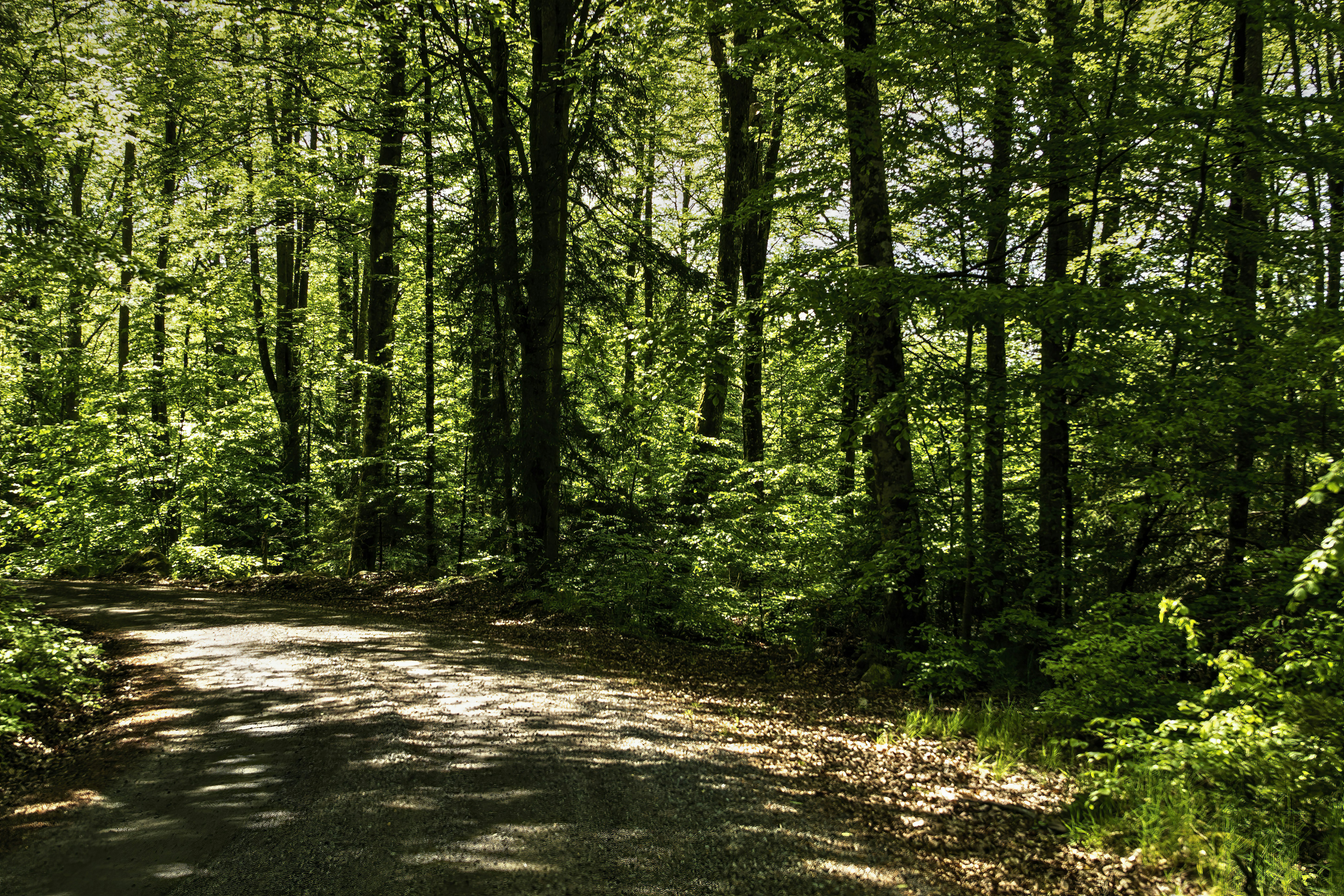 All About Waskosim’s Rock