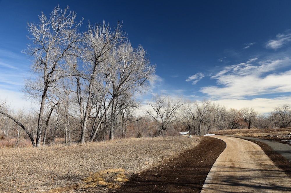 a dirt road in the middle of a field