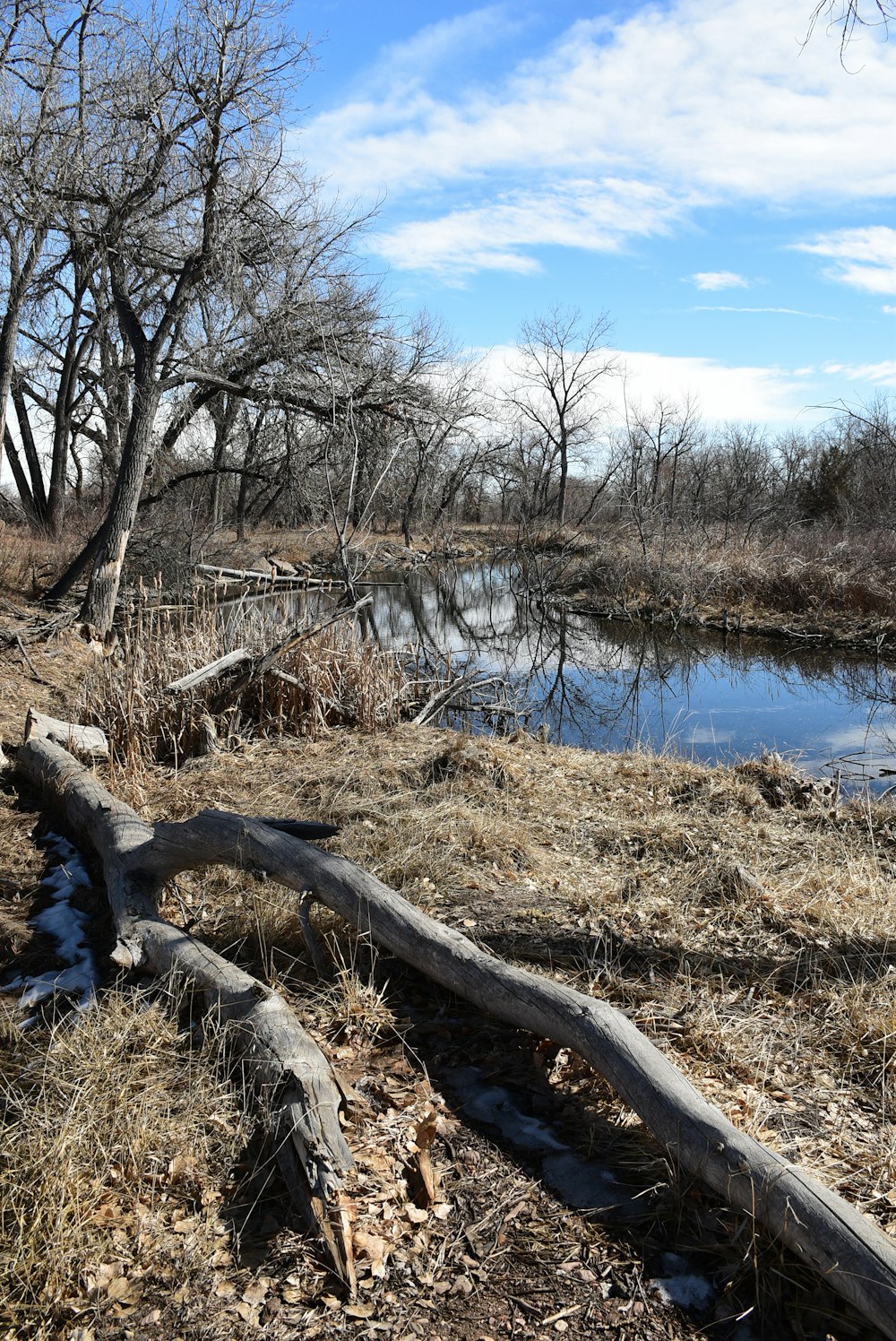 a wooden log laying on top of a dry grass field