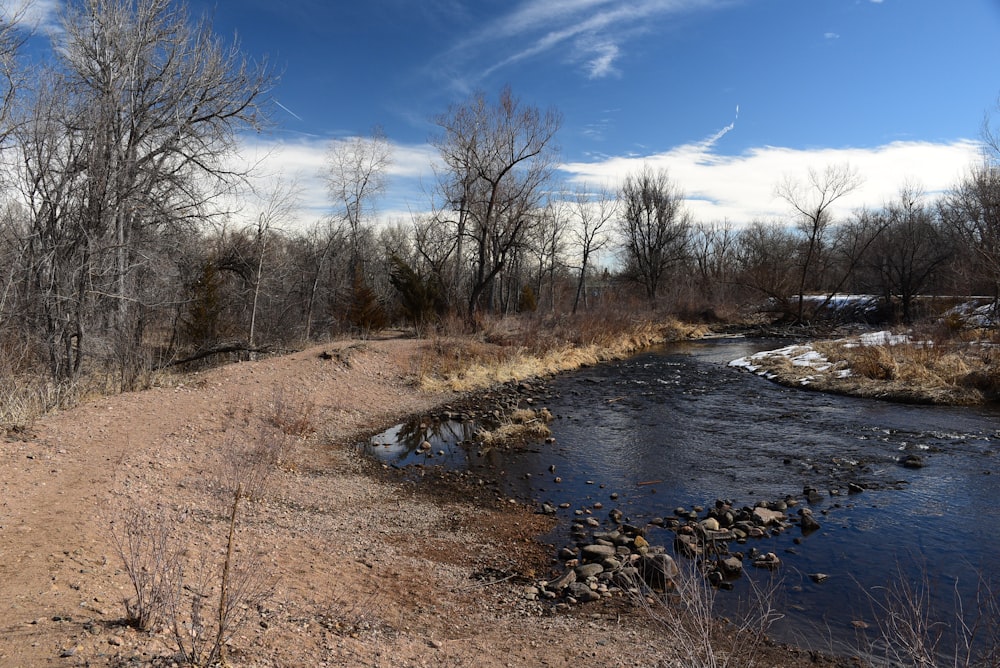 a river running through a dry grass covered forest