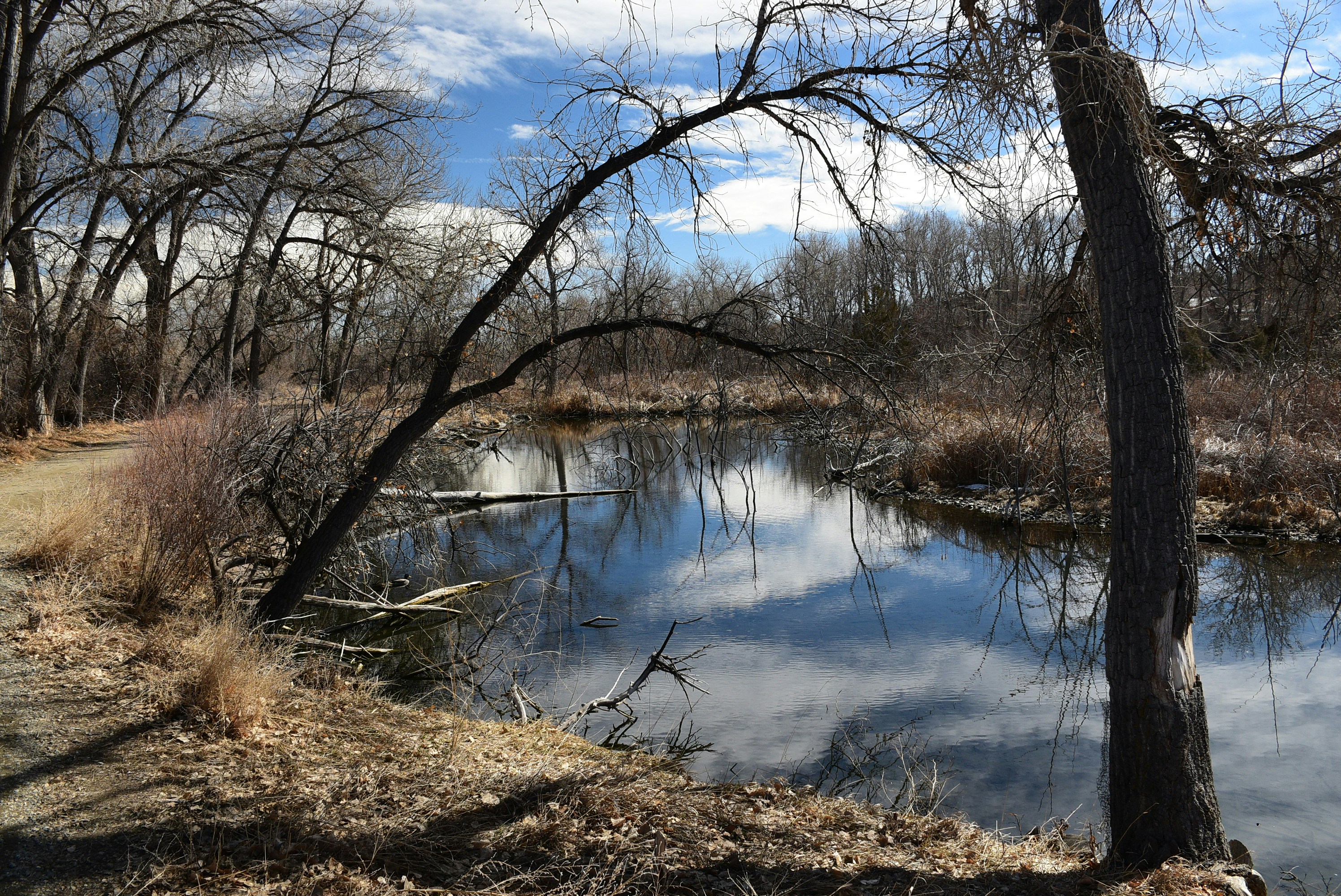 The BottleHouse Brewery and Mead Hall