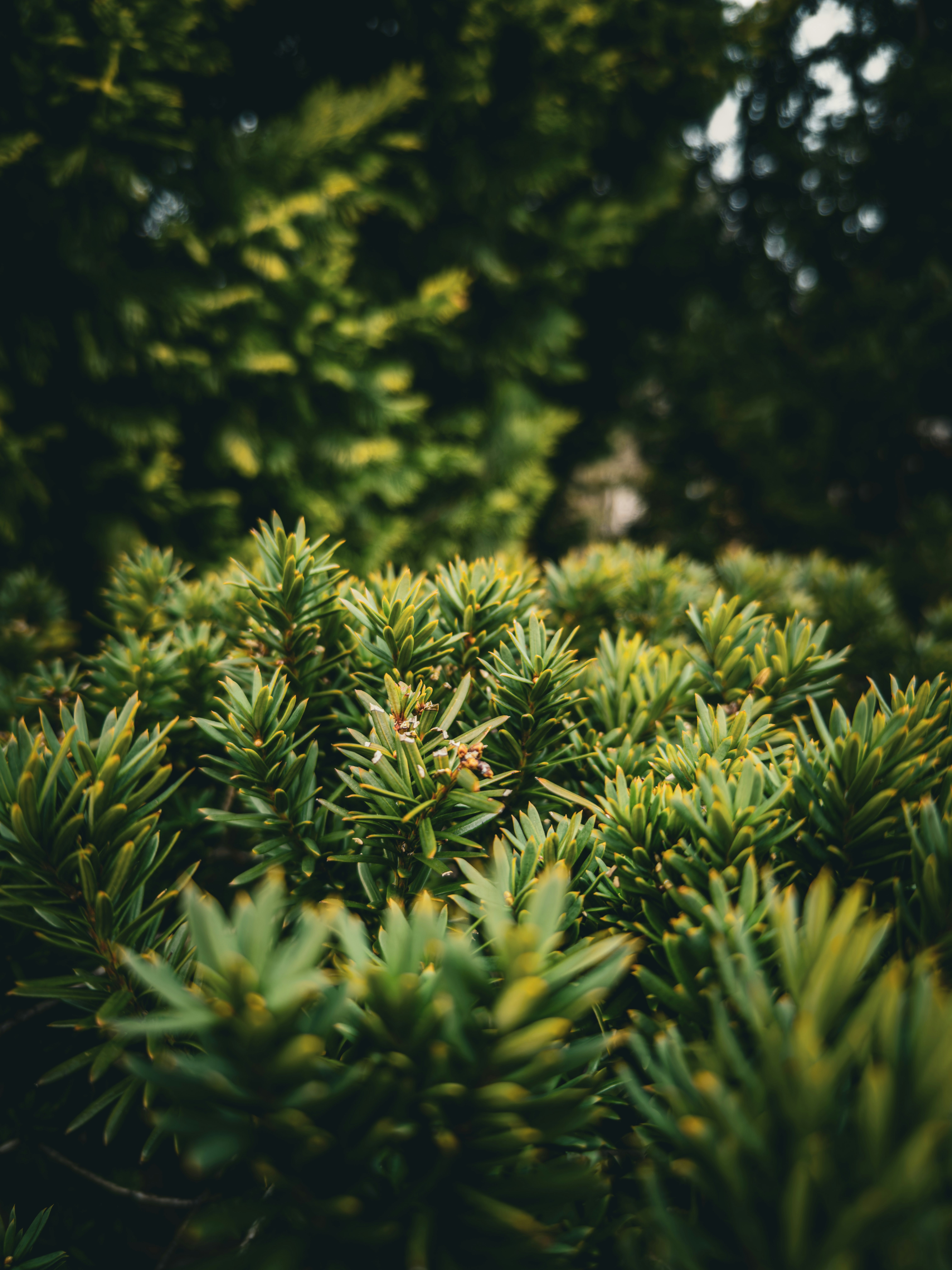 Photo by ptrcwrnr