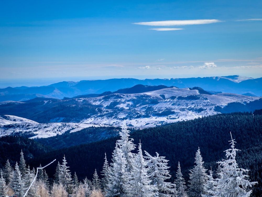 a view of a snowy mountain range with trees in the foreground