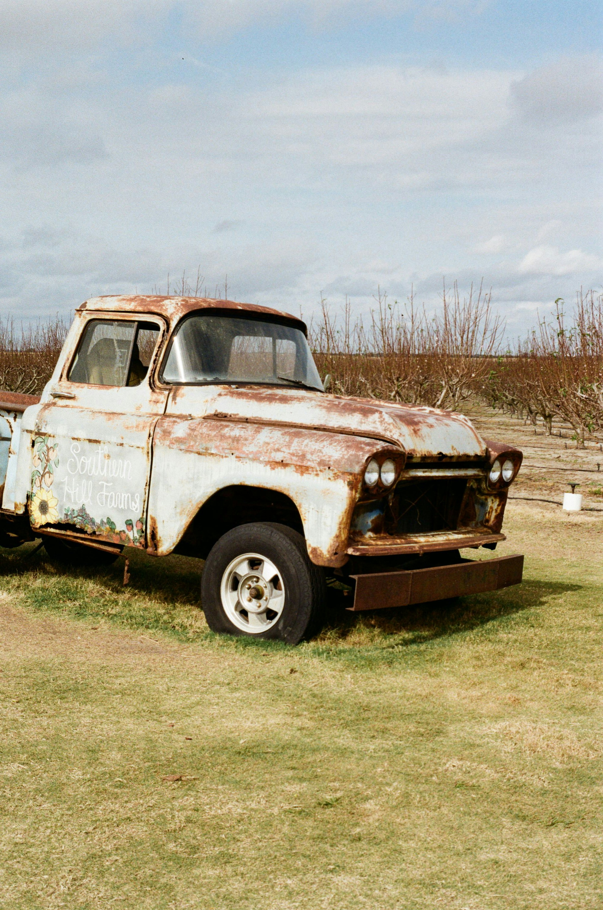 An old rusted truck sitting in a field photo – Free Pickup truck Image ...