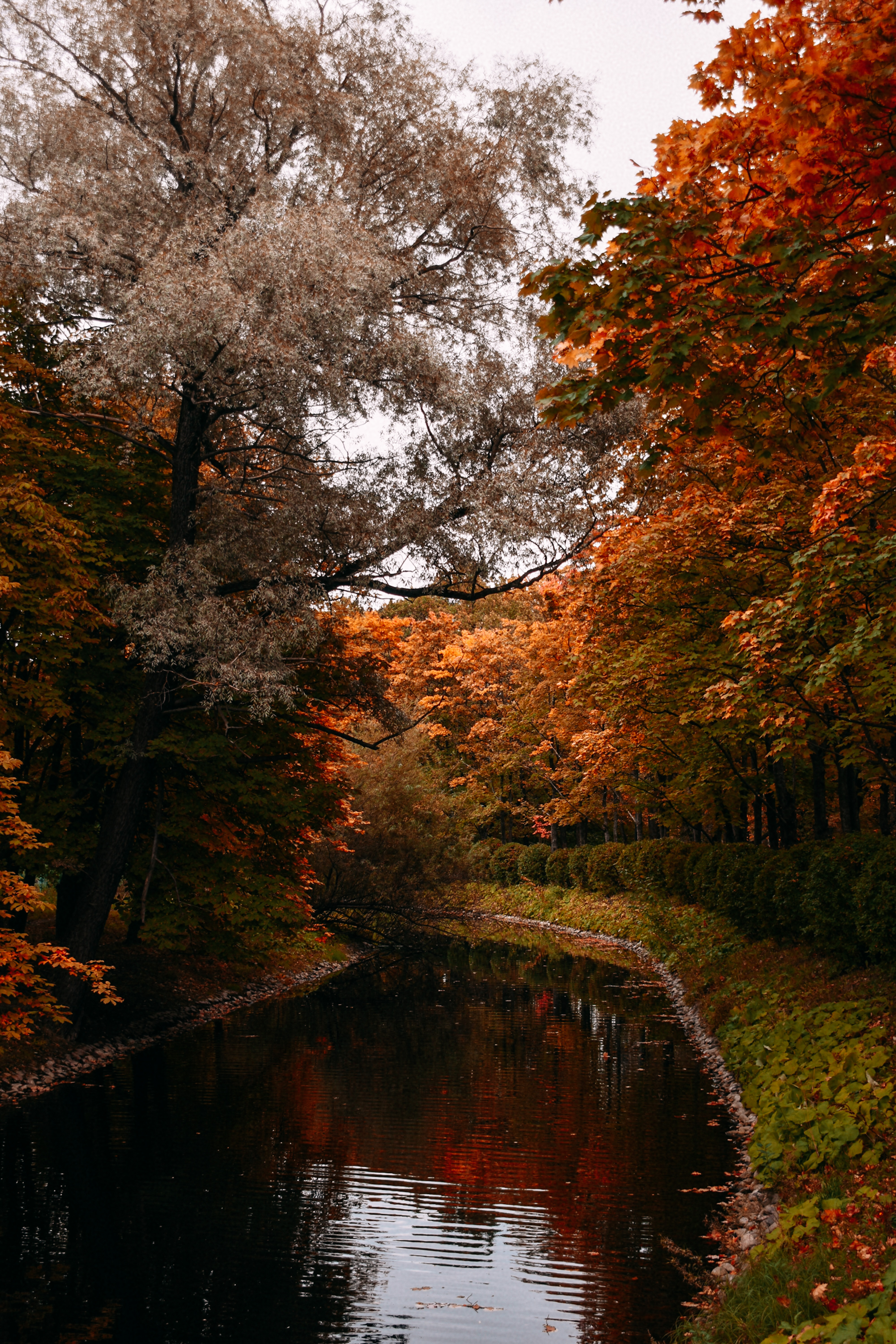 Un fiume circondato da alberi in autunno