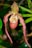 An exotic, pendulous orchid with elongated, slender petals that curve gracefully downward. The flower features a mix of deep red and peachy hues with a speckled pattern on the lip. It is set against a lush, green, blurred background that enhances its intricate details.