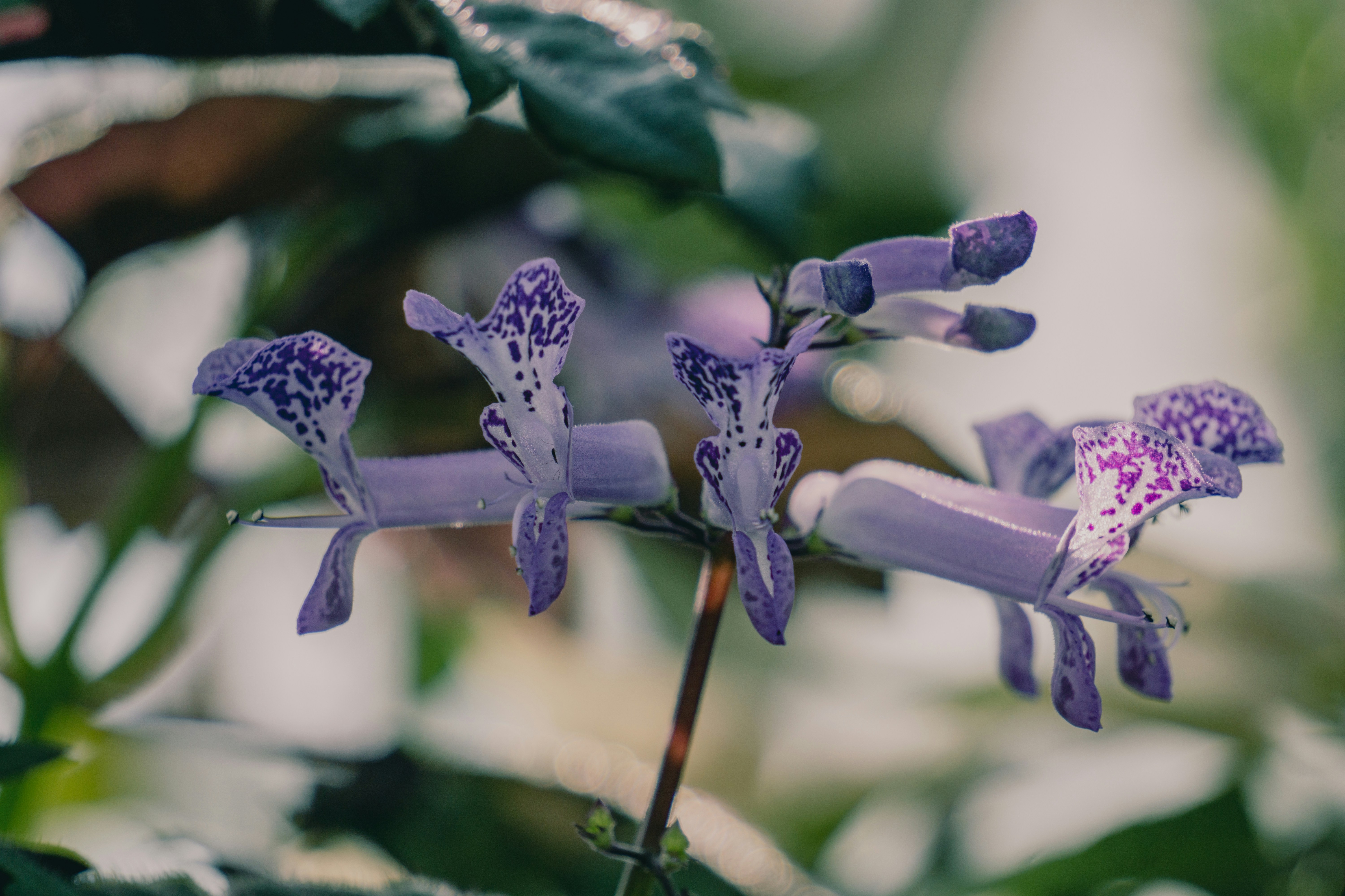 Photo by aravindreddytarugu