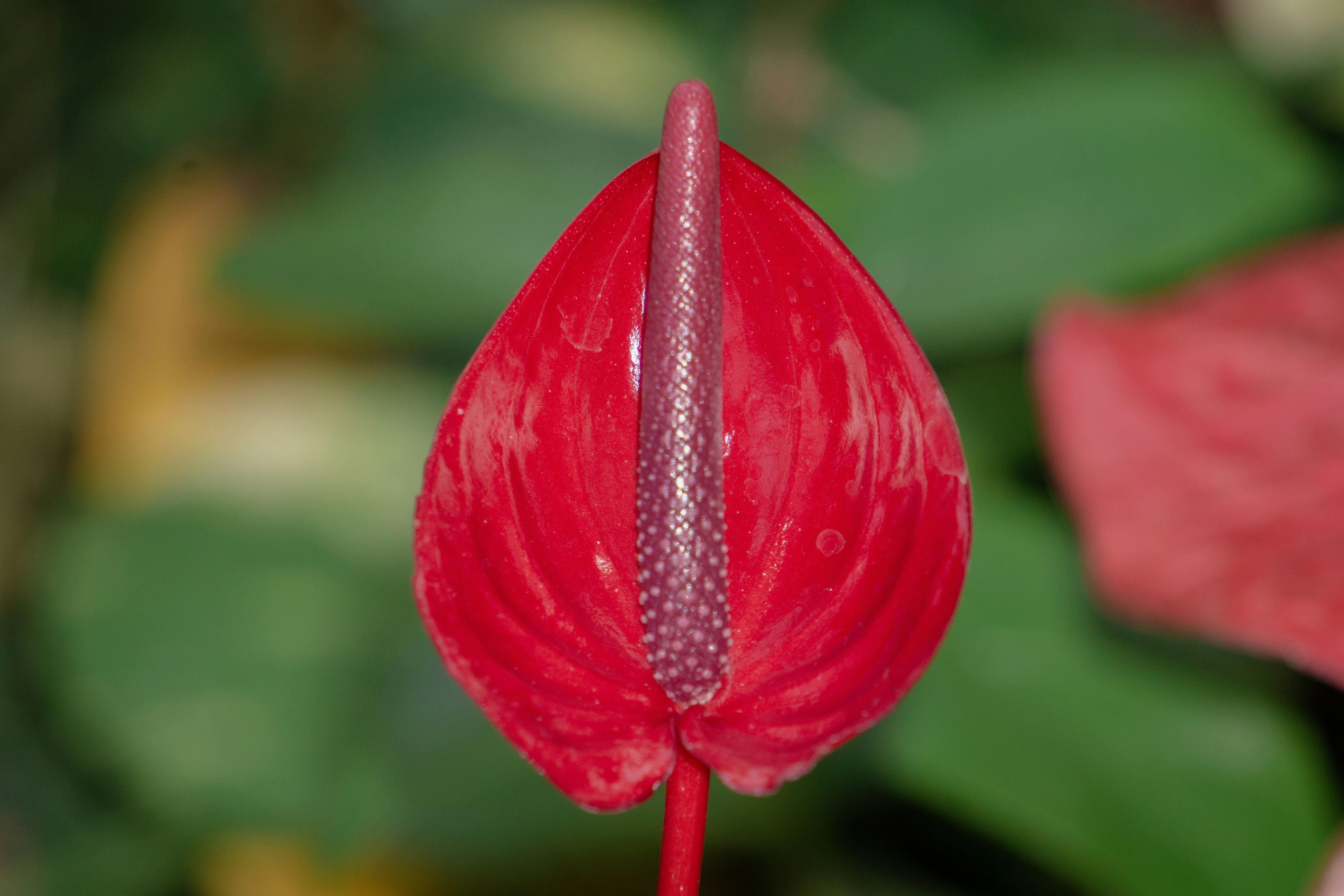 Photo by aravindreddytarugu