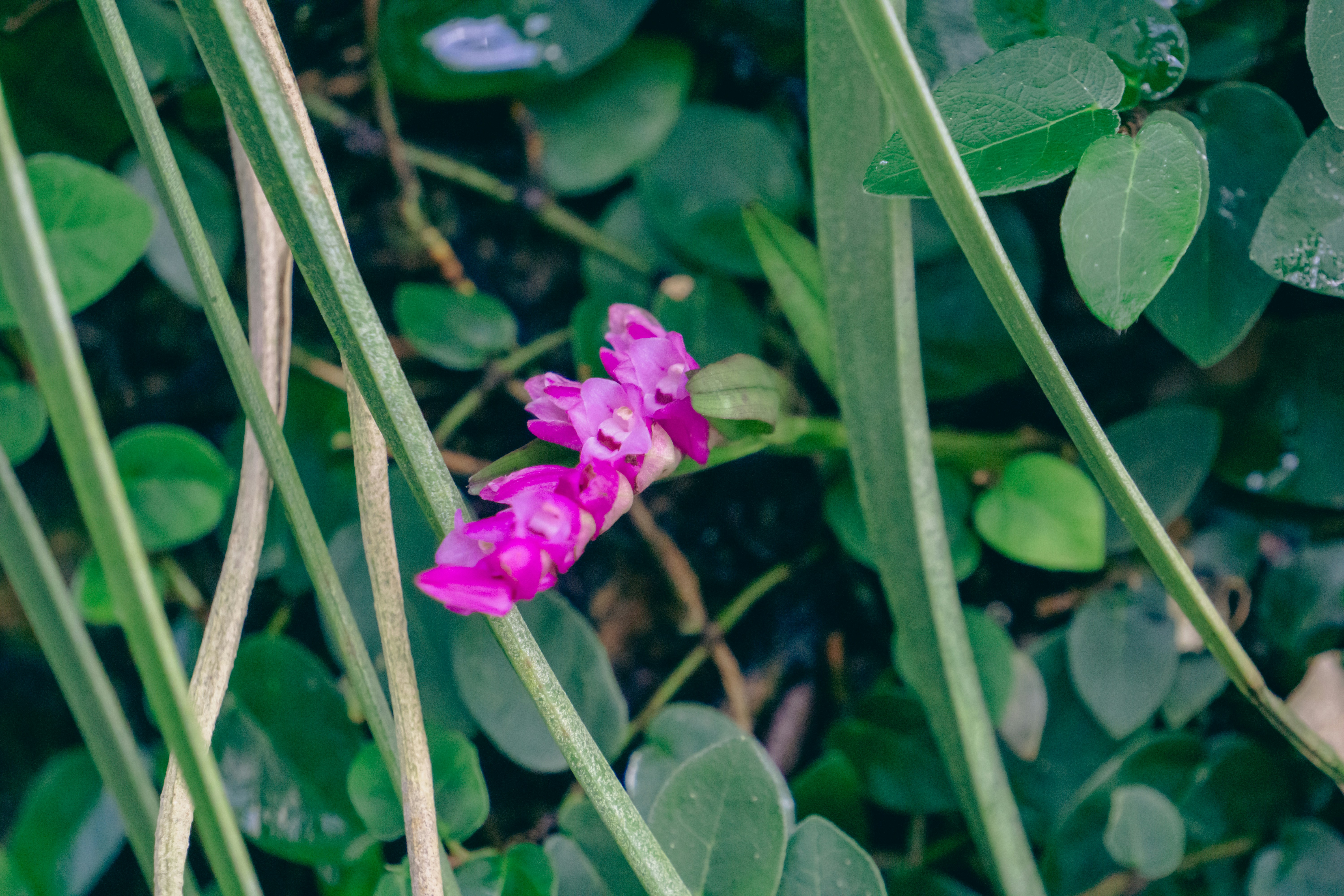 Photo by aravindreddytarugu