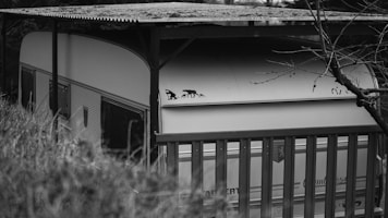 A black and white photograph features a vintage caravan partially obscured by tall grass and a metal fence. The caravan has a sleek, curved roof with a small animal silhouette art on the side. There’s a canopy overhead and leafless branches extending into the frame, giving a secluded and quiet atmosphere.