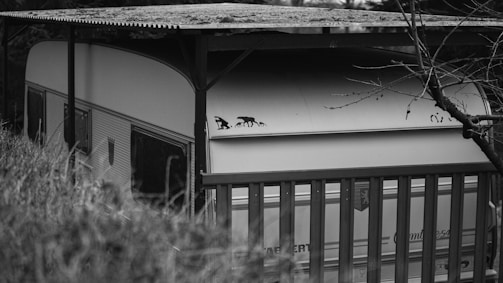 A black and white photograph features a vintage caravan partially obscured by tall grass and a metal fence. The caravan has a sleek, curved roof with a small animal silhouette art on the side. There’s a canopy overhead and leafless branches extending into the frame, giving a secluded and quiet atmosphere.