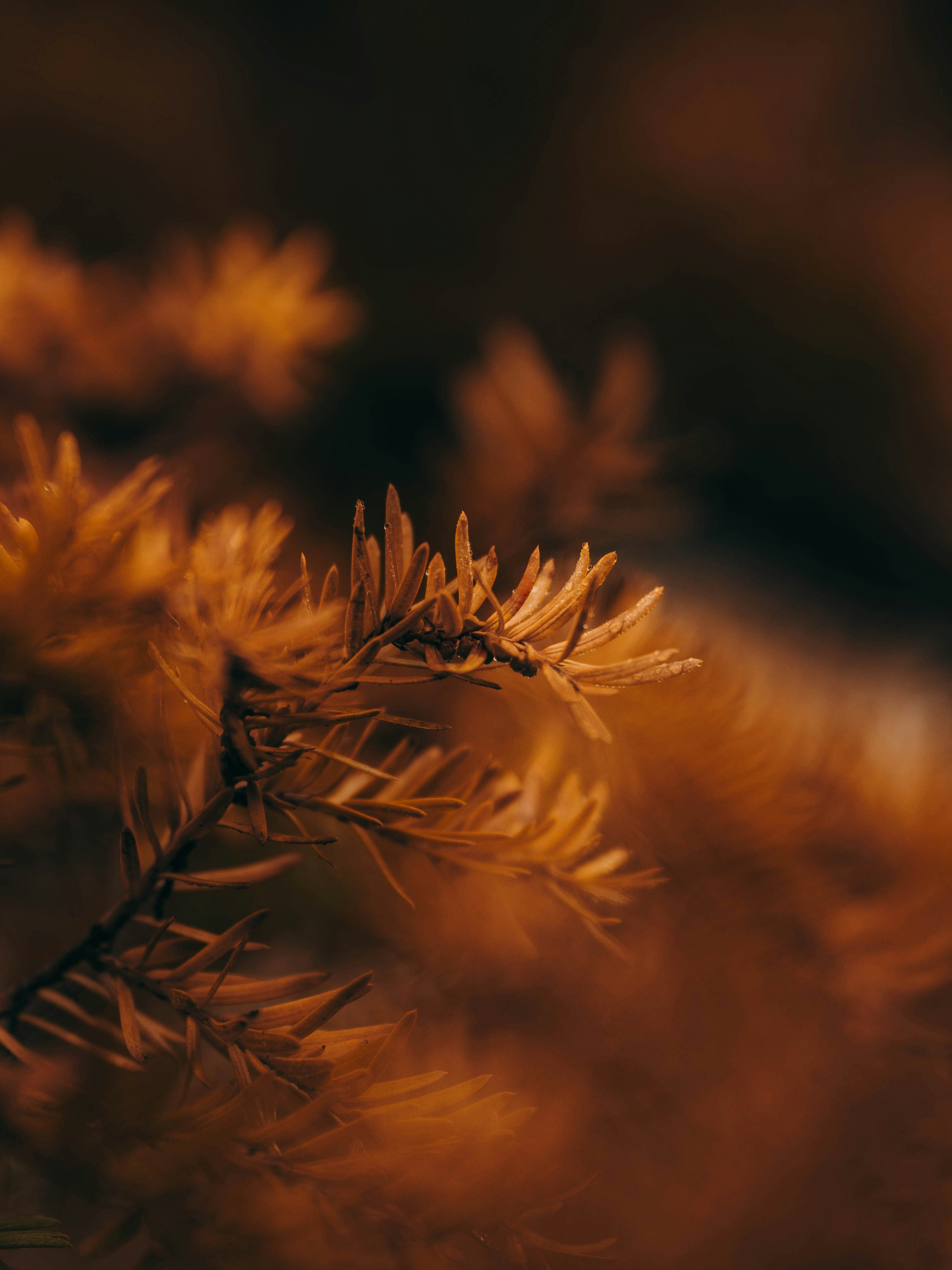 Photo by colemangloverphotography