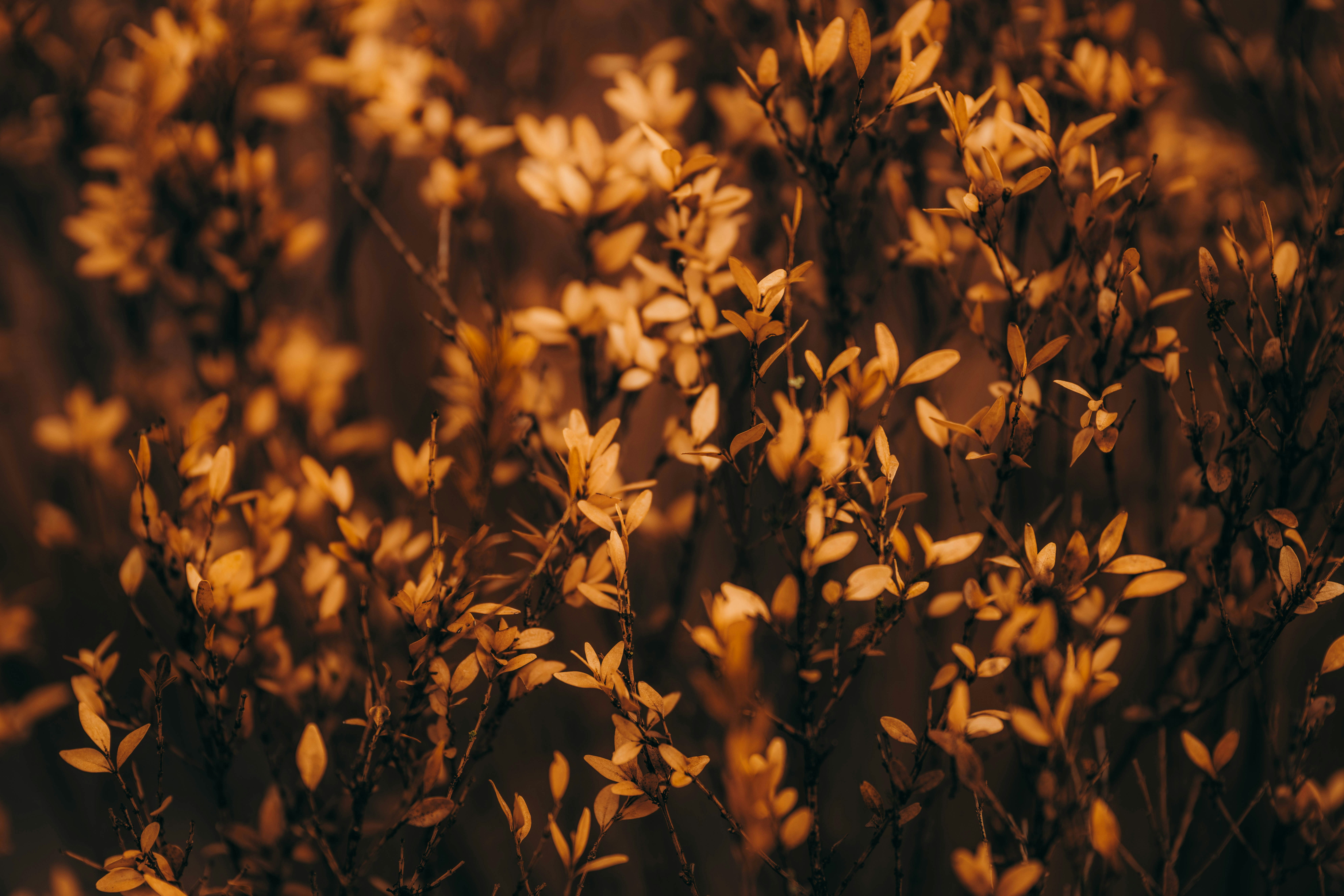 Photo by colemangloverphotography