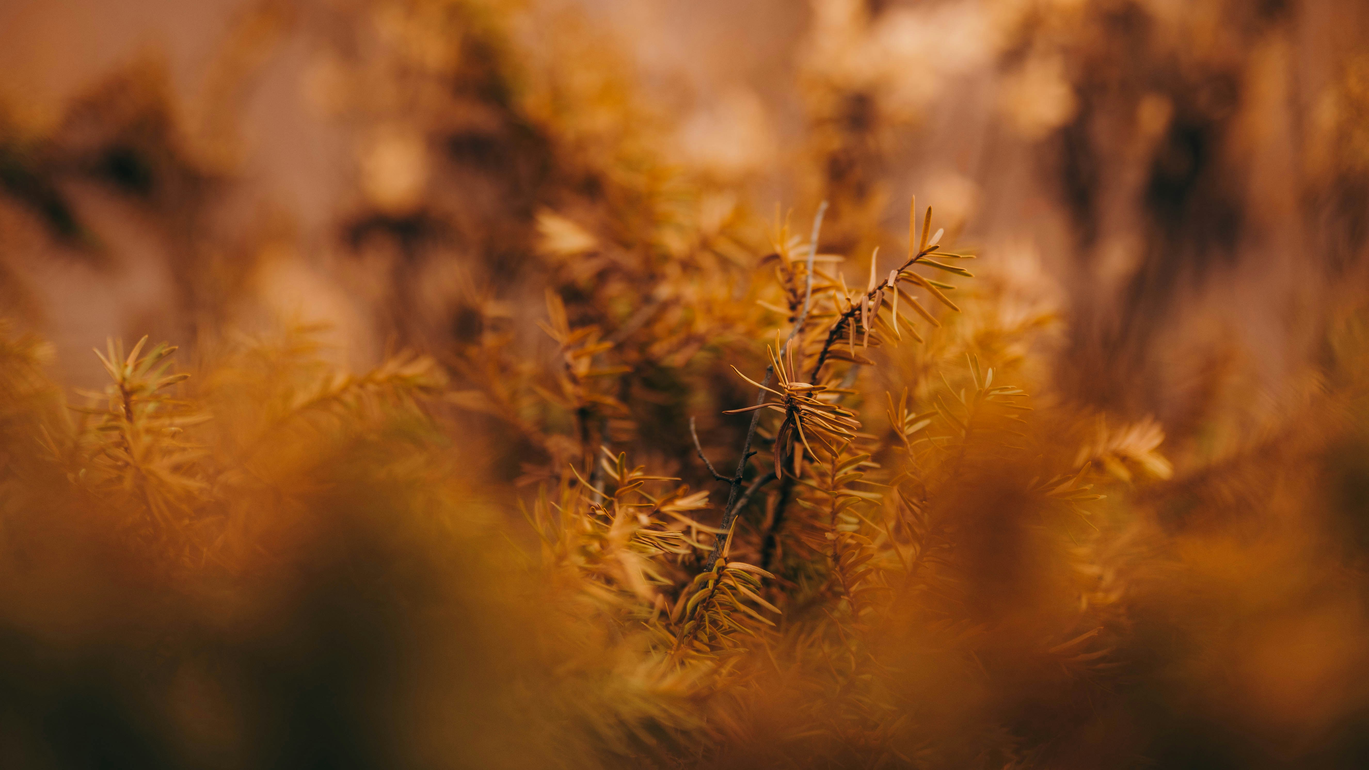 Photo by colemangloverphotography