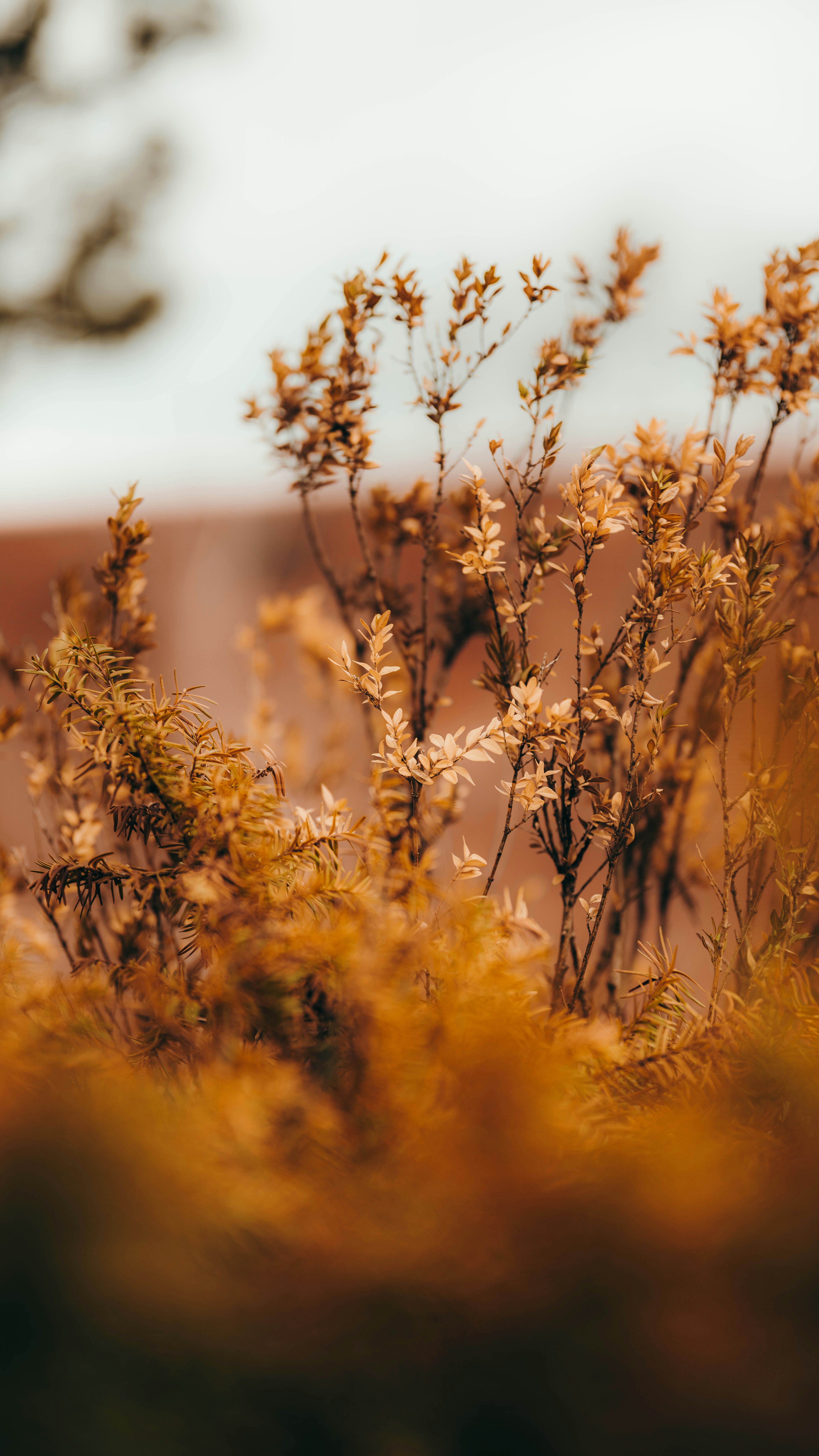 Photo by colemangloverphotography