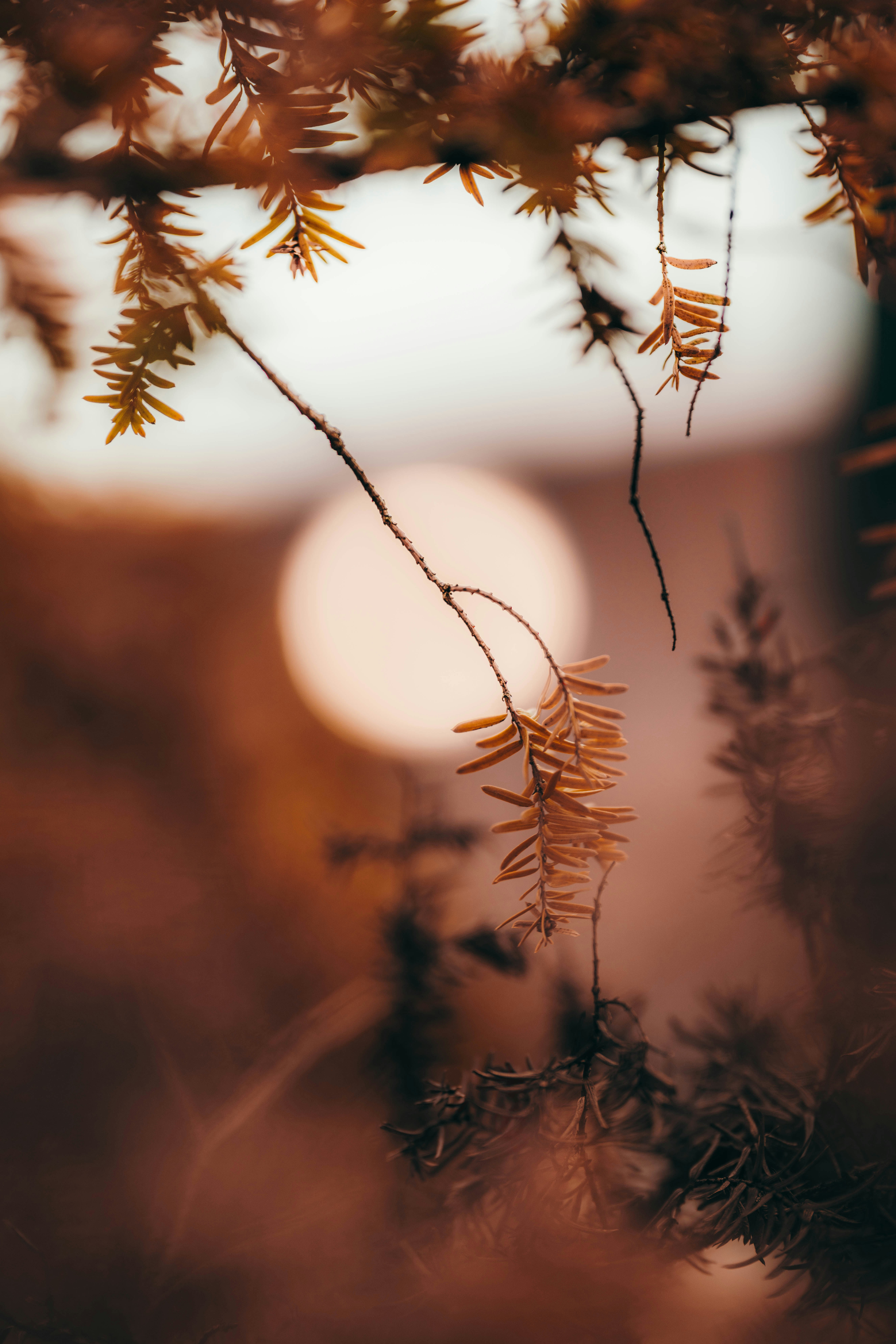 Photo by colemangloverphotography