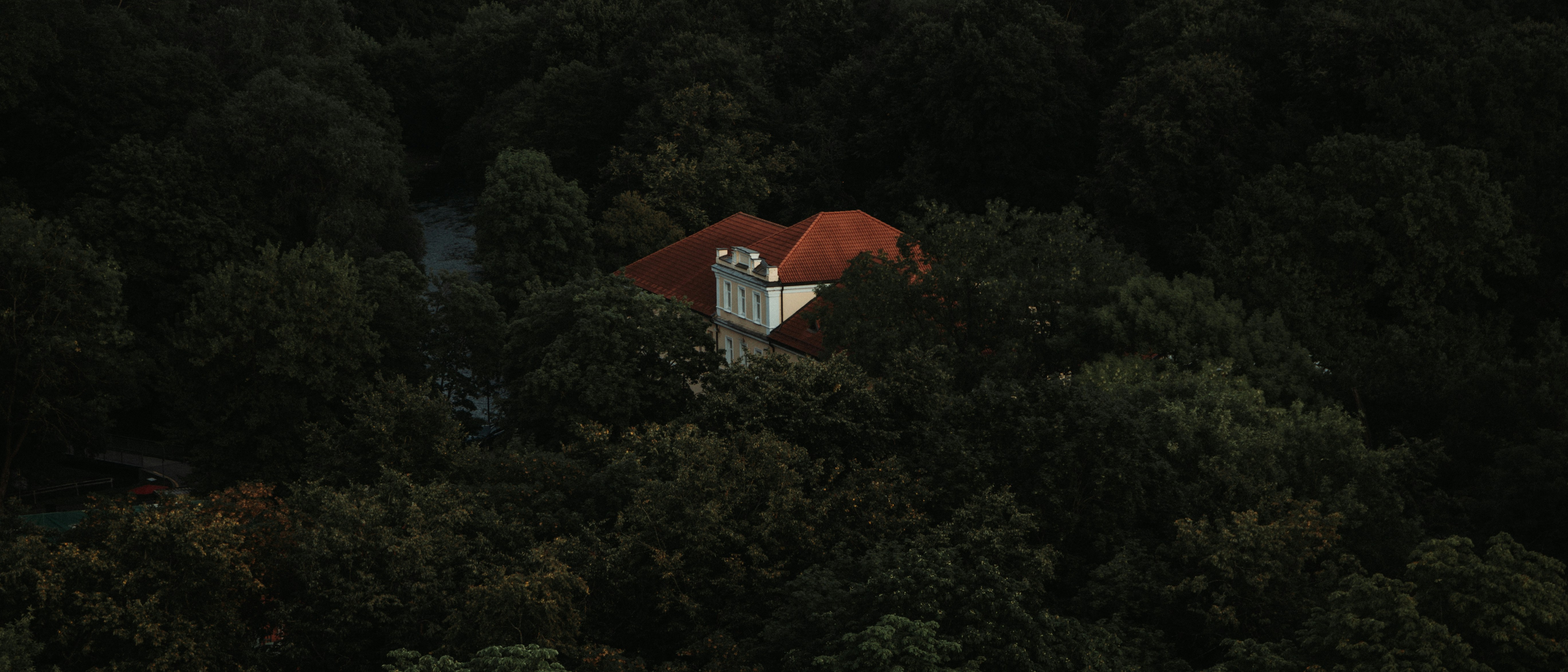 a house in the middle of a forest 풍경 사진