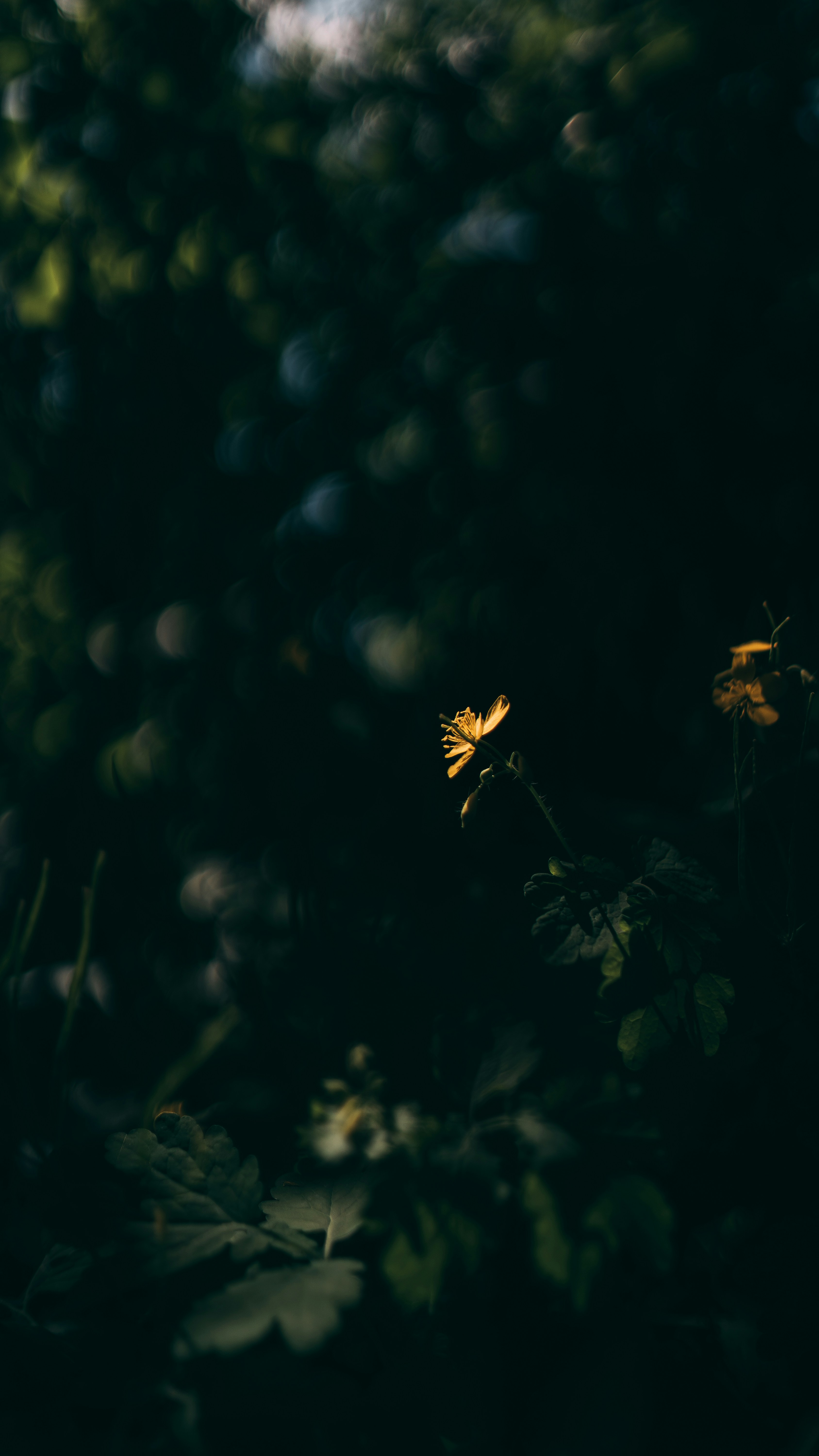 Photo by khodzinskyi