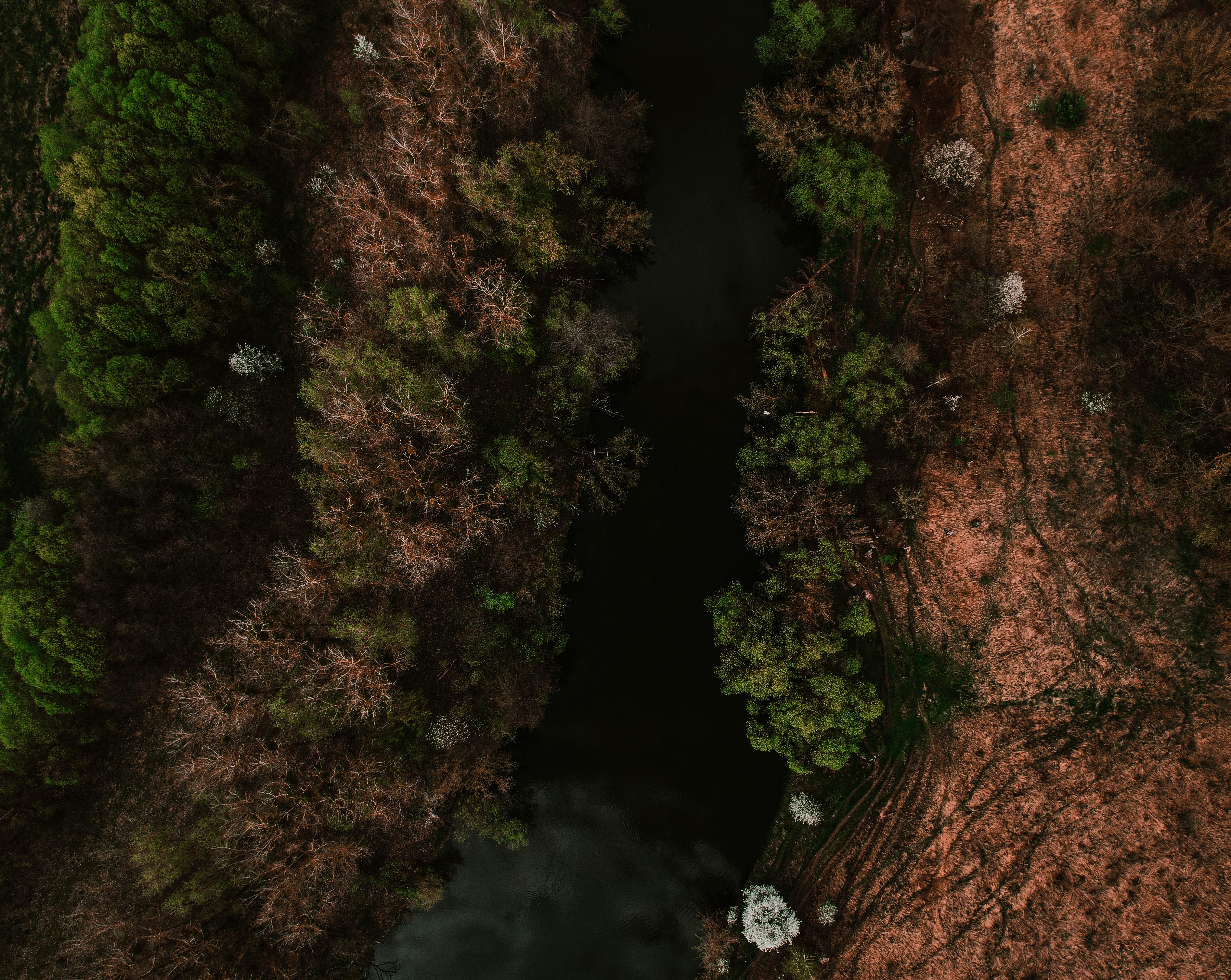 Photo by khodzinskyi