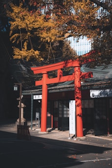 a tall red building sitting next to a tree