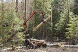 A forest harvester machine is in the process of logging, lifting a large tree trunk vertically. The surrounding area is dense with coniferous trees, and the forest floor is covered with cut logs and branches.