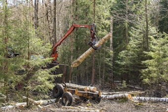 A forest harvester machine is in the process of logging, lifting a large tree trunk vertically. The surrounding area is dense with coniferous trees, and the forest floor is covered with cut logs and branches.