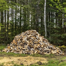 a pile of wood sitting in the middle of a forest
