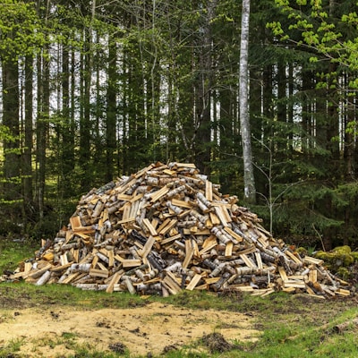 a pile of wood sitting in the middle of a forest