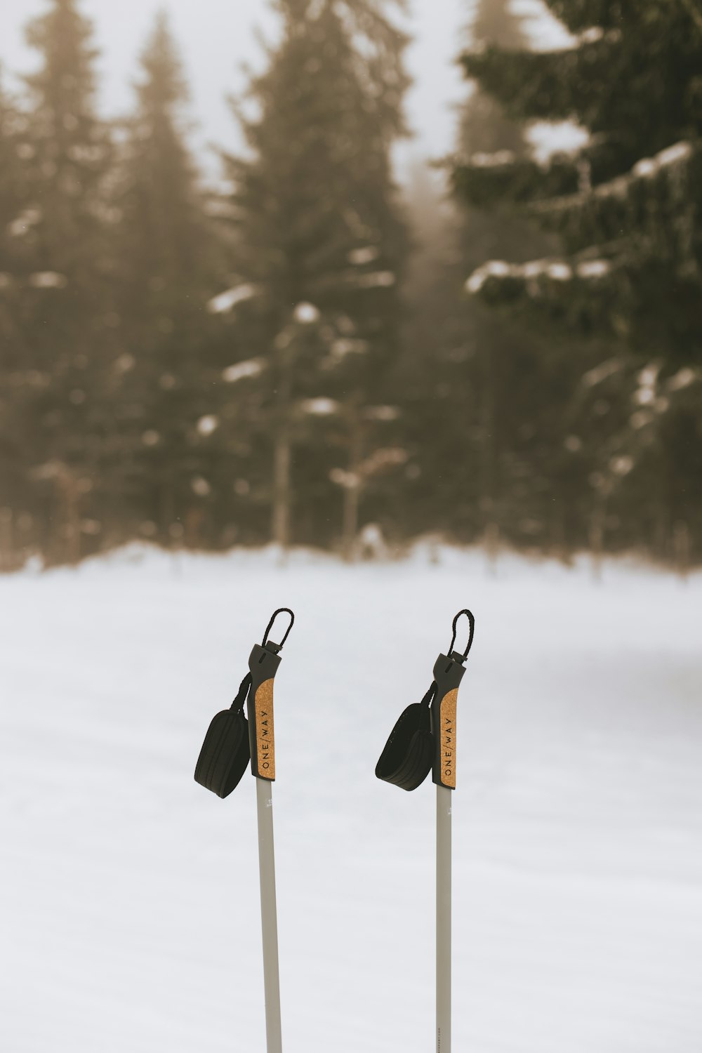 two ski poles sticking out of the snow