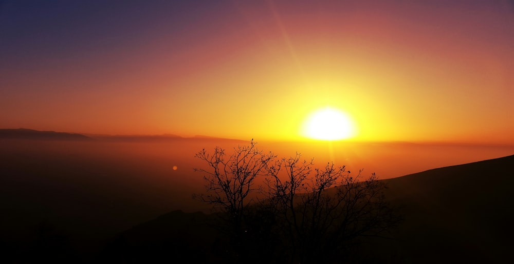 the sun is setting over a hill with a tree in the foreground