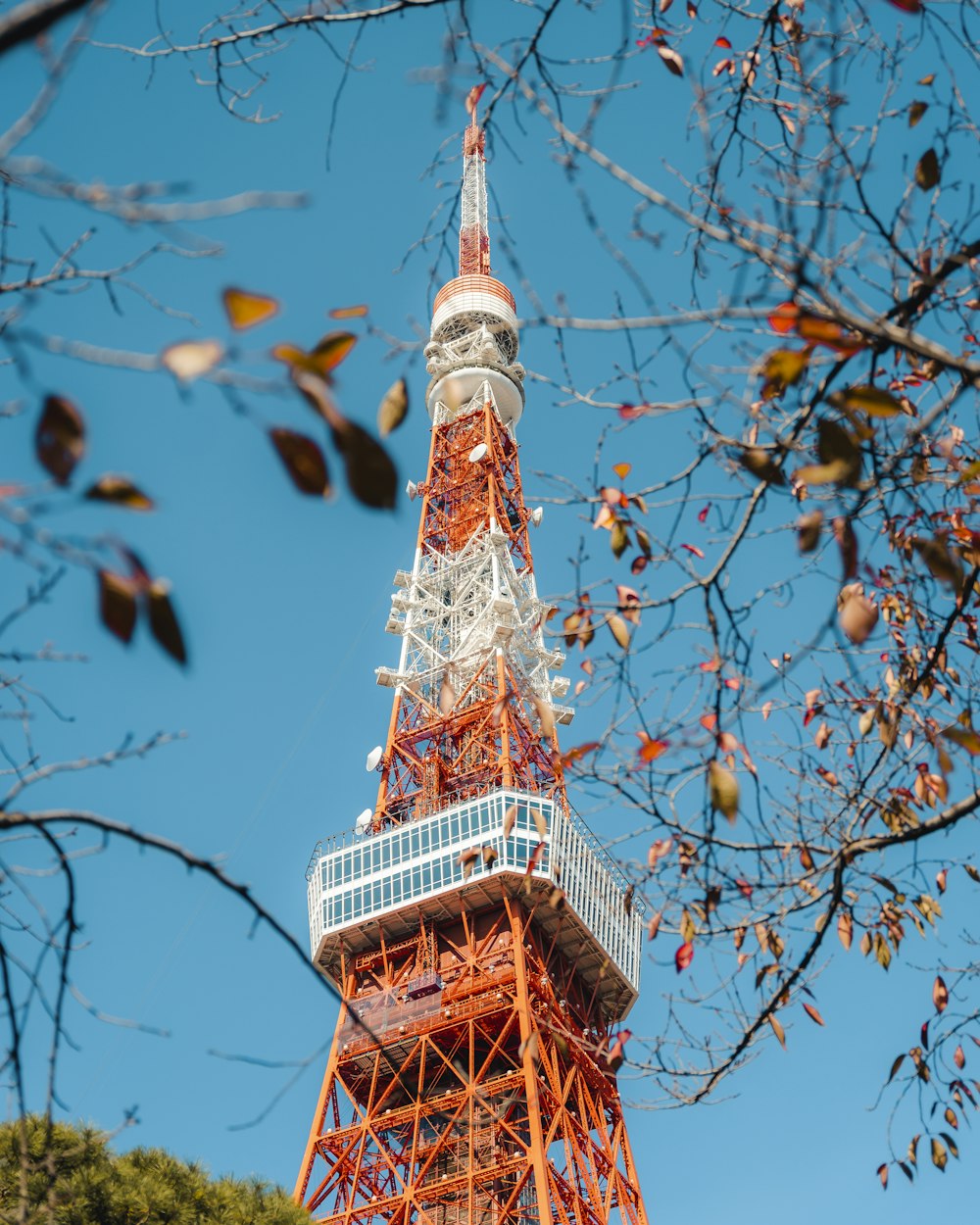 Der Eiffelturm ist durch die Äste eines Baumes gesehen