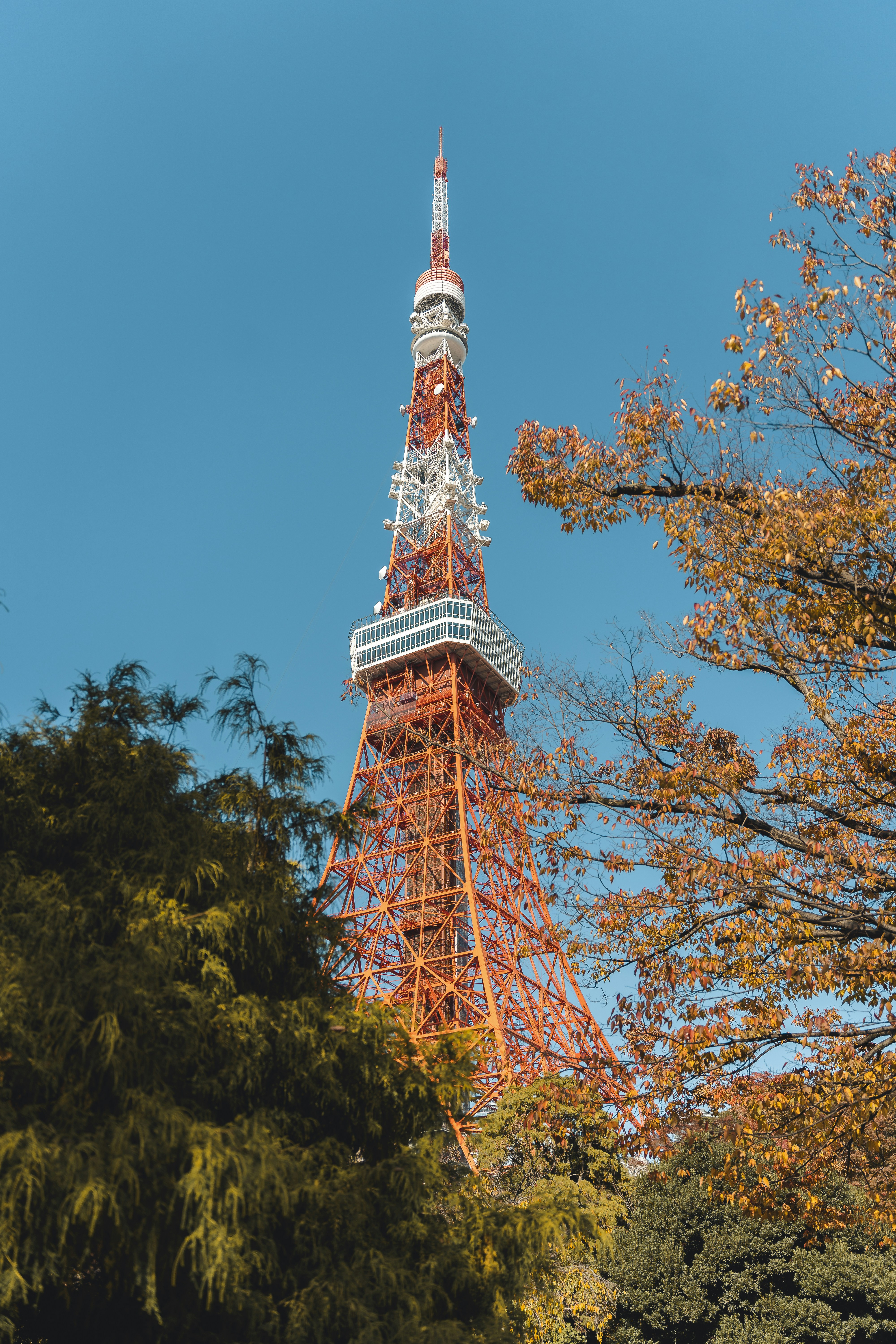 Photo by willianjusten