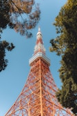 A tall, red and white communications tower rises into a clear blue sky, surrounded by leafy trees with branches framing the structure. The intricate metal framework supports various antennas and platforms, with a viewing deck near the top.