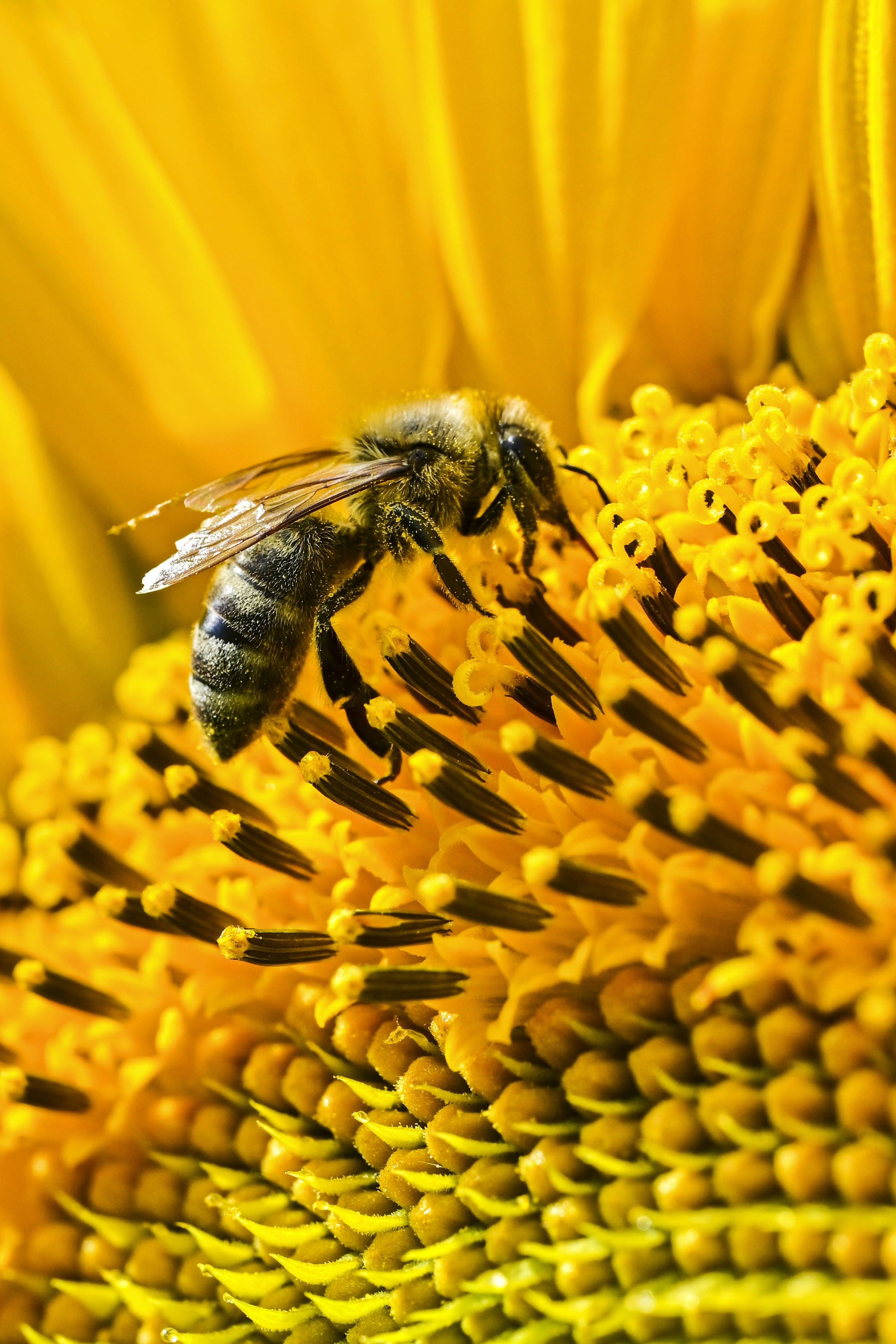 Photo by petrcaslava