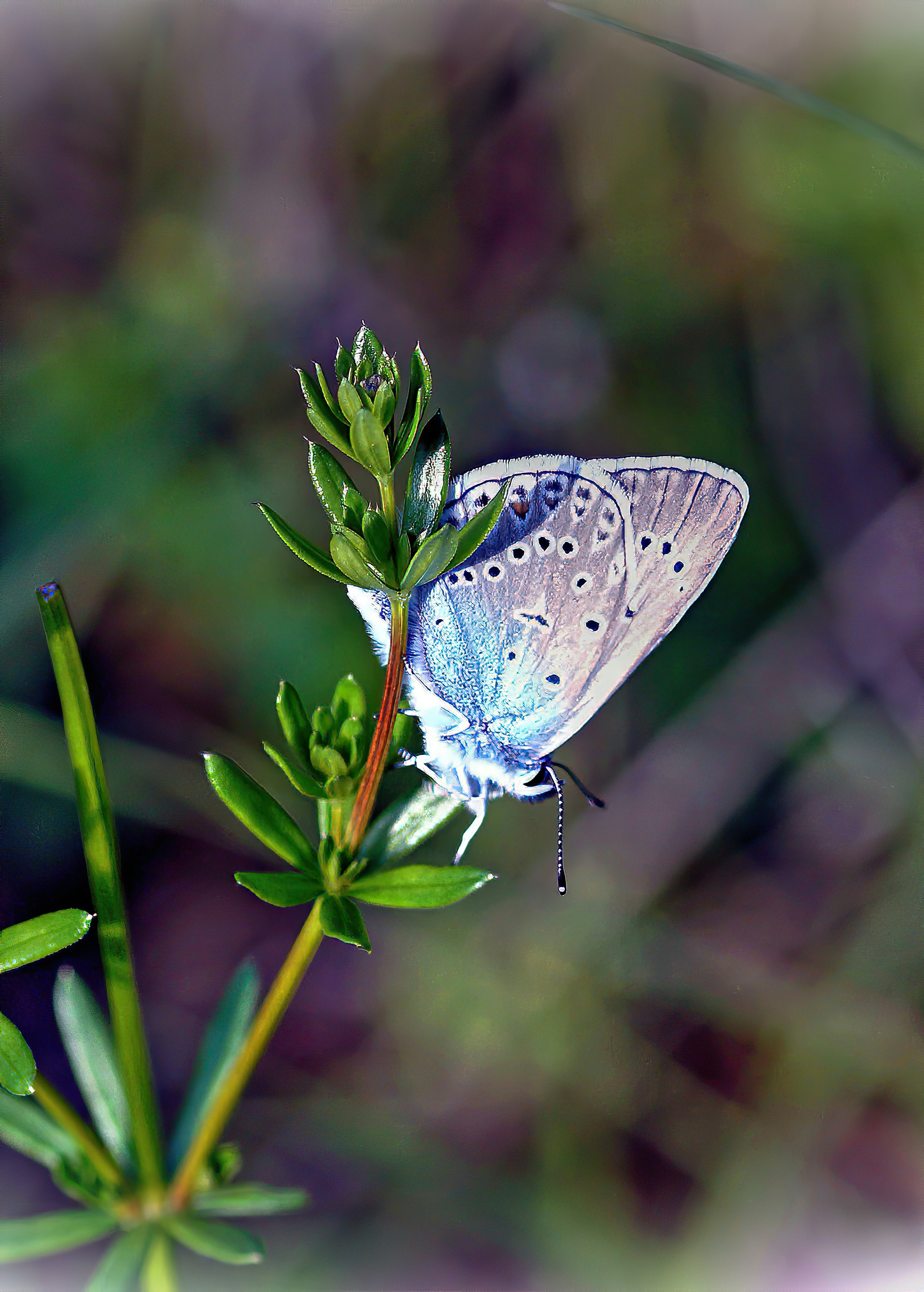 Photo by joijiojo