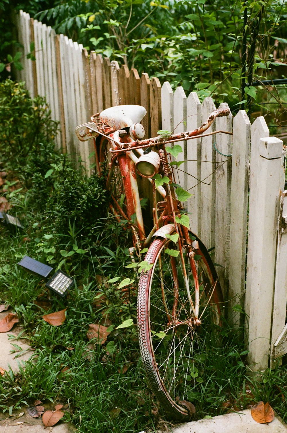 an old rusty bicycle leaning against a white picket fence