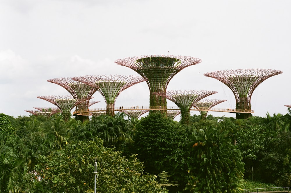 a bunch of trees that are in the air