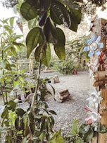 A garden area features a variety of green plants and trees with large leaves. A tree trunk is decorated with flowers made from recycled materials, such as aluminum cans with petals painted in various colors. The ground is covered in gravel and logs are scattered around, contributing to a rustic atmosphere.
