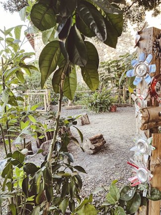 A garden area features a variety of green plants and trees with large leaves. A tree trunk is decorated with flowers made from recycled materials, such as aluminum cans with petals painted in various colors. The ground is covered in gravel and logs are scattered around, contributing to a rustic atmosphere.