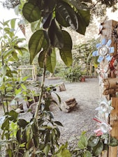 A garden area features a variety of green plants and trees with large leaves. A tree trunk is decorated with flowers made from recycled materials, such as aluminum cans with petals painted in various colors. The ground is covered in gravel and logs are scattered around, contributing to a rustic atmosphere.