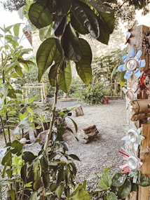 A garden area features a variety of green plants and trees with large leaves. A tree trunk is decorated with flowers made from recycled materials, such as aluminum cans with petals painted in various colors. The ground is covered in gravel and logs are scattered around, contributing to a rustic atmosphere.