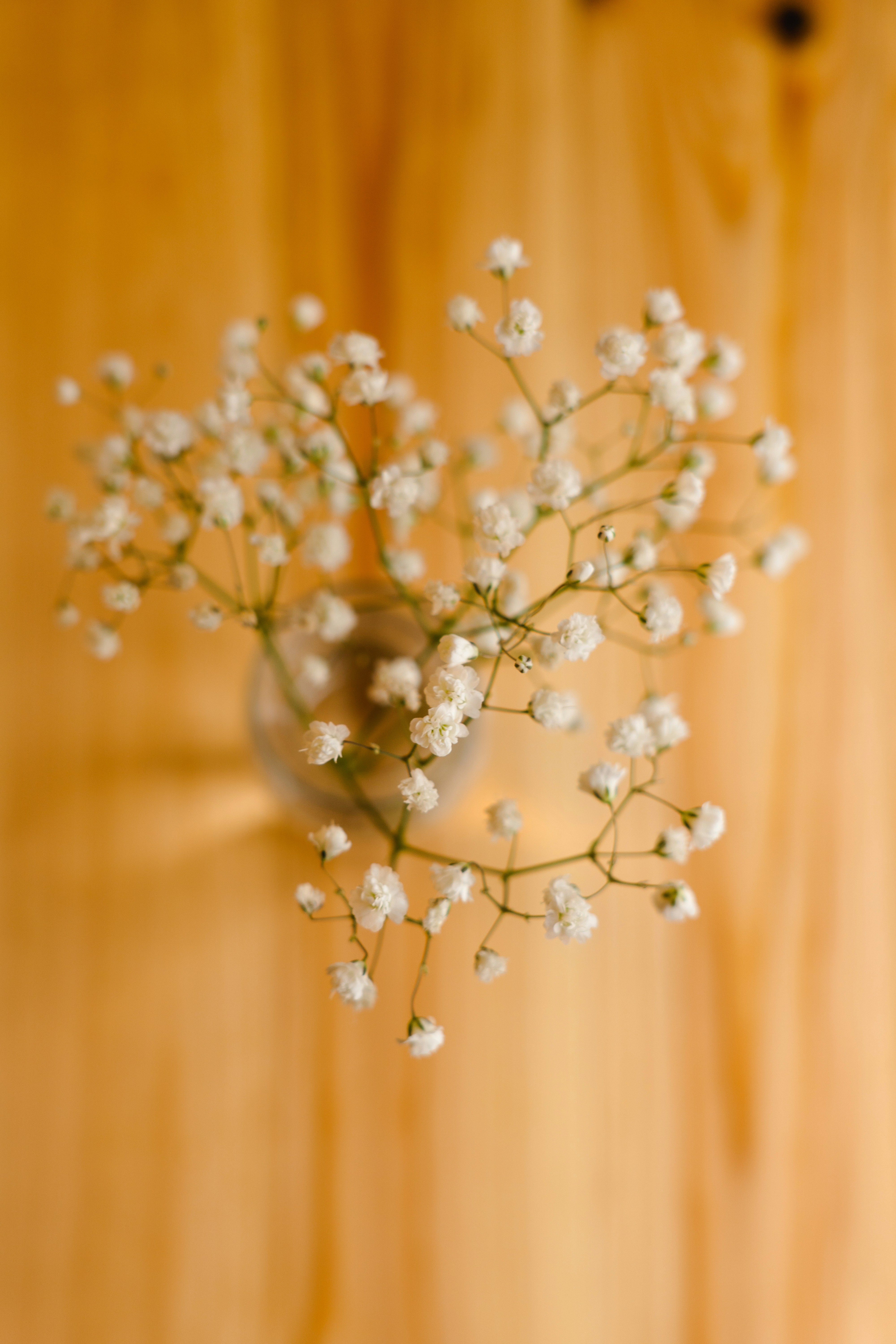 a vase filled with white flowers on top of a wooden table