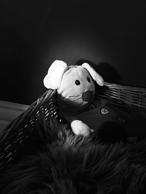A plush toy resembling a dog with floppy ears is nestled in a basket. The basket is lined with soft fur-like material, and the image is captured in black and white, highlighting textures and shadows.