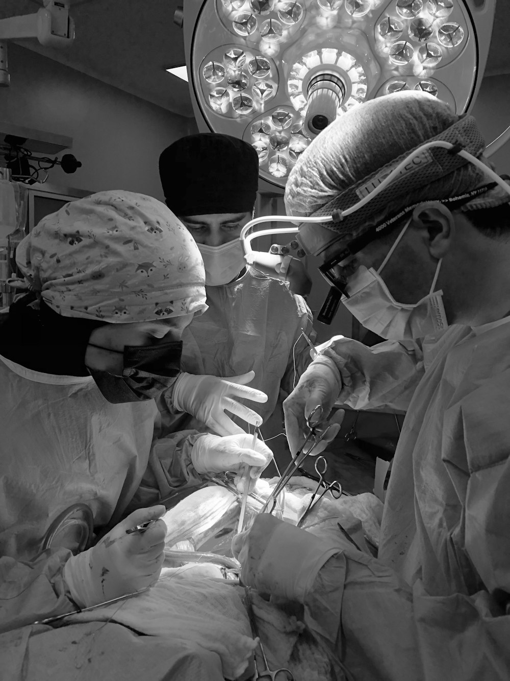 手術を行う3人の外科医の白黒写真