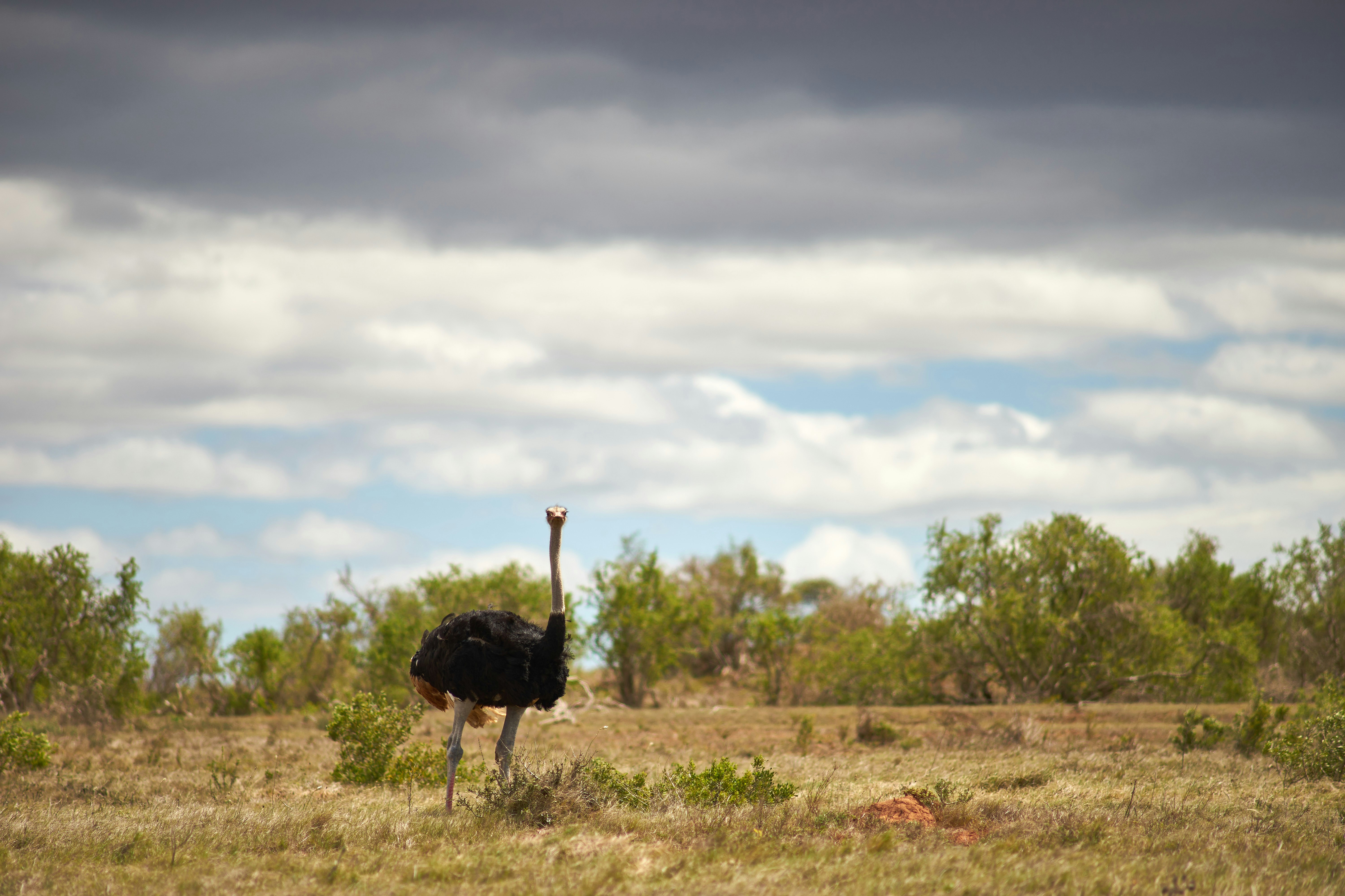 Photo by wolfgang_hasselmann